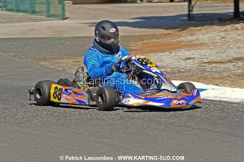 DSC_6864 copie.jpg
